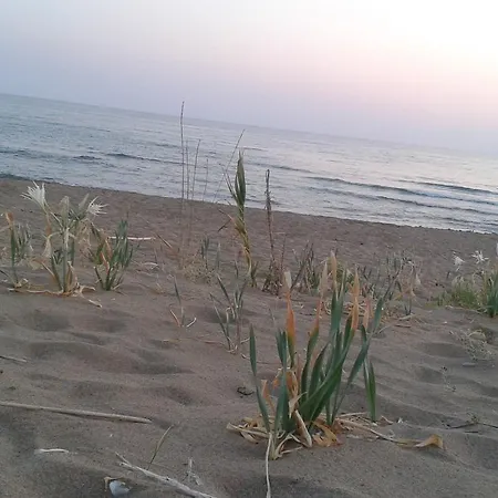 Ionion Star 2* Tholon