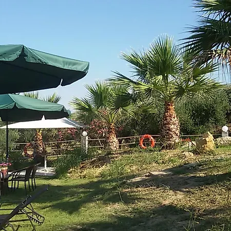 Ionion Star Отель Tholon