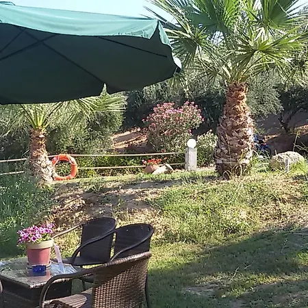 Ionion Star Hotell 2*