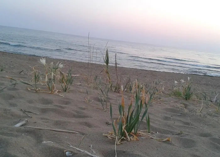 Ionion Star 2* Tholon